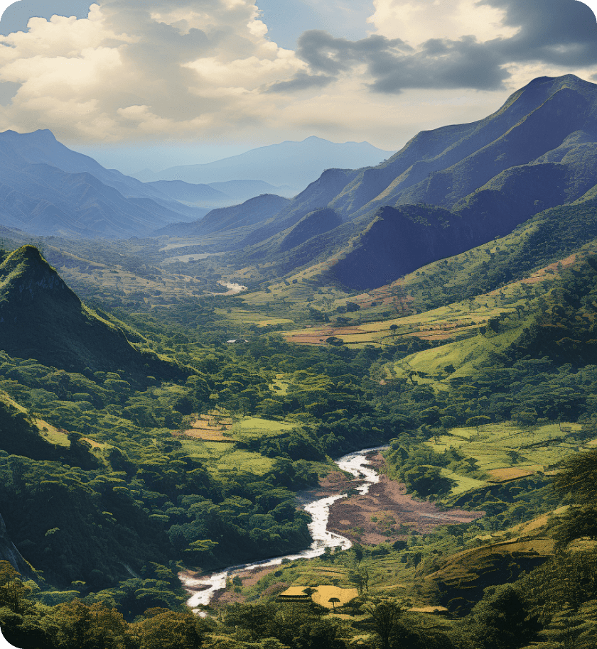 Guinea