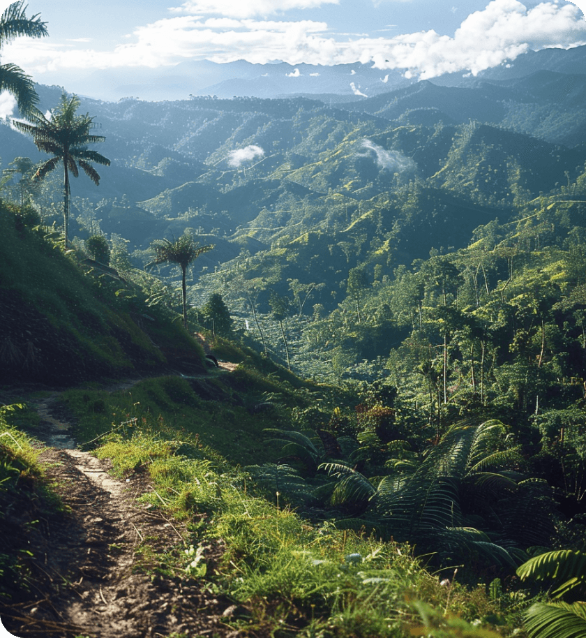 Papua Nová Guinea